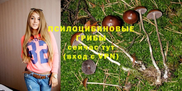 кокс Майский