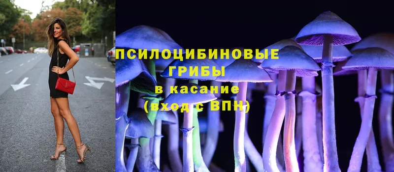 Галлюциногенные грибы Psilocybe  наркошоп  Лыткарино 